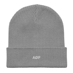 AØP SF beanie - Grey